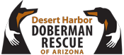 Image of Arizona’s Doberman Rescue Logo
